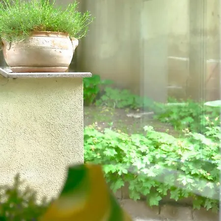 Vm Studio Apartment *